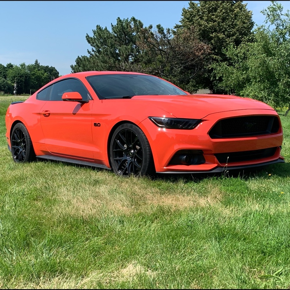 Meet your Posher, Shawn